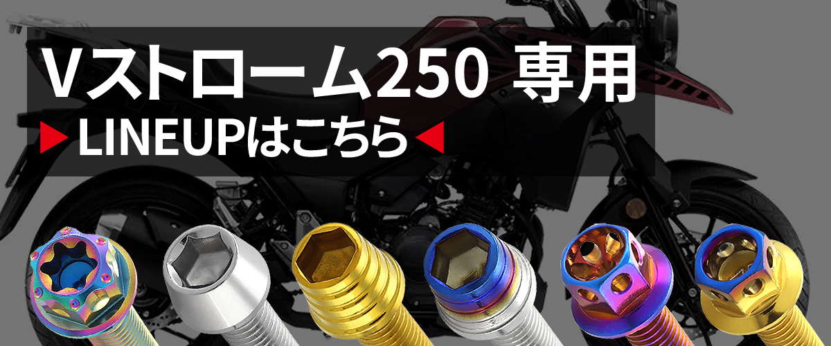 専用 TECHーMASTER（テックマスター） Vストローム250 V-Strom エンジン