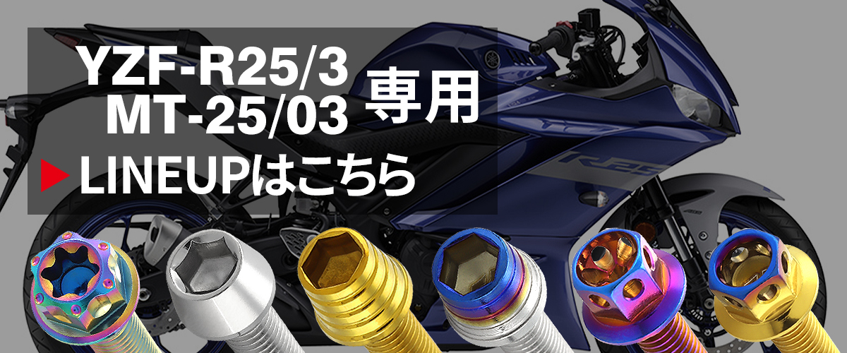 YZF-R25/3 MT-25/03 エンジンカバー クランクケース ボルト 21本セット