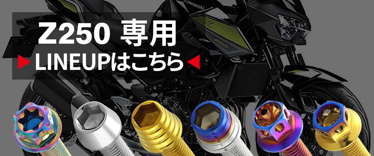 TECHーMASTER（テックマスター） Z250/400 2019年〜 エンジンカバー