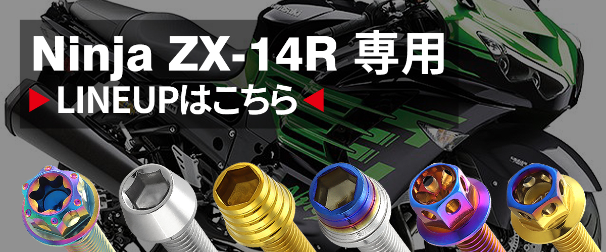 ニンジャ ZX-14R ZZR1400 エンジンカバー クランクケース ボルト 29本 