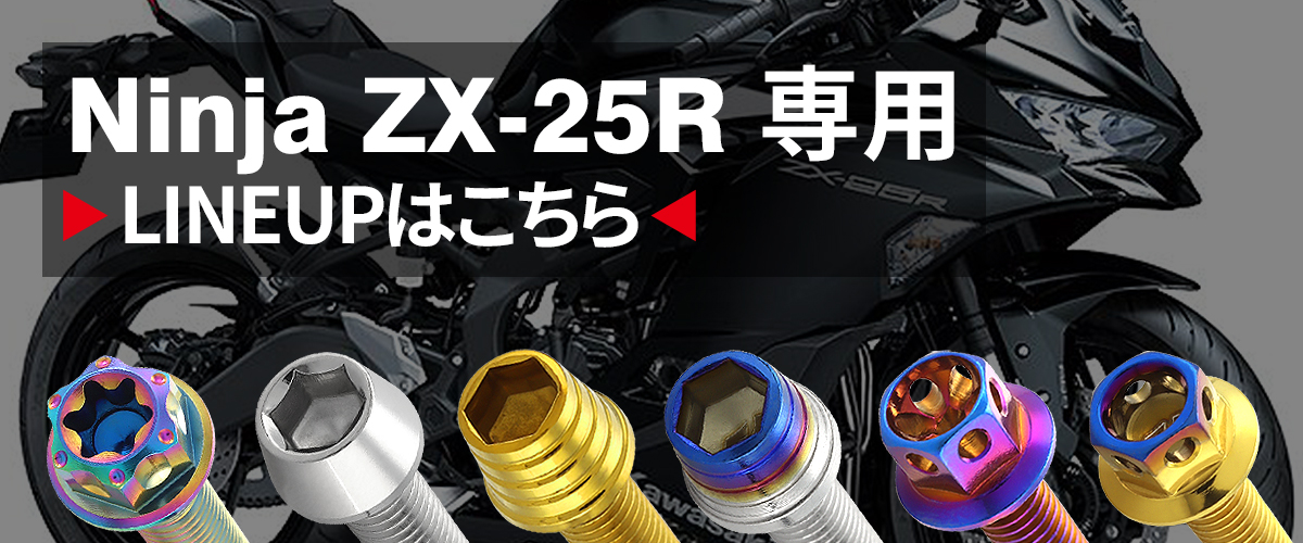 ニンジャ ZX-25R Ninja エンジンカバー クランクケース ボルト 26本
