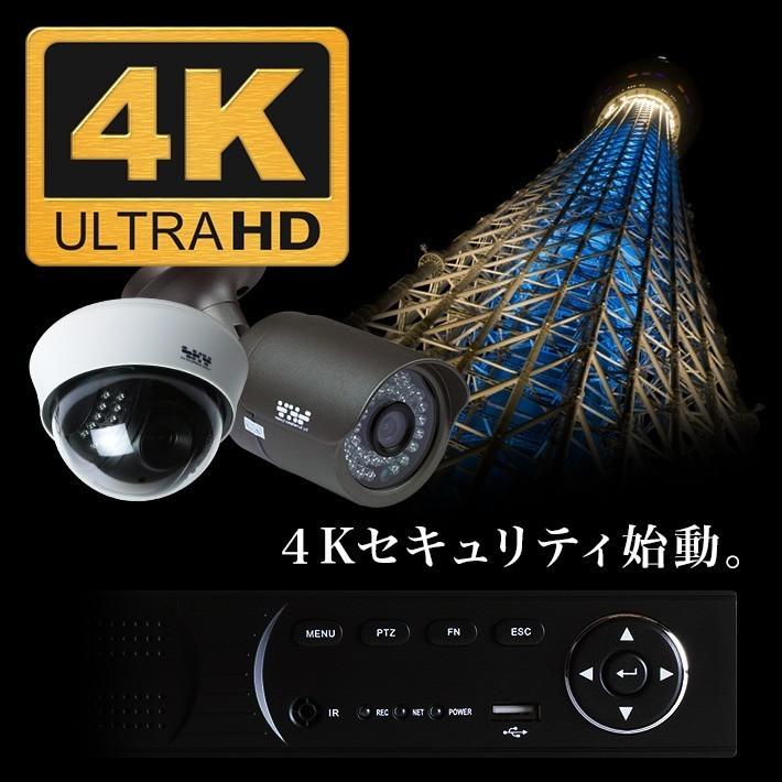 AI搭載 防犯カメラ 4K 800万画素 集音 マイク搭載 屋外用防水バレット型 屋内ドーム型 選べる2台 レコーダーセット 監視カメラ 2000GB HDD SET-880S-2の画像