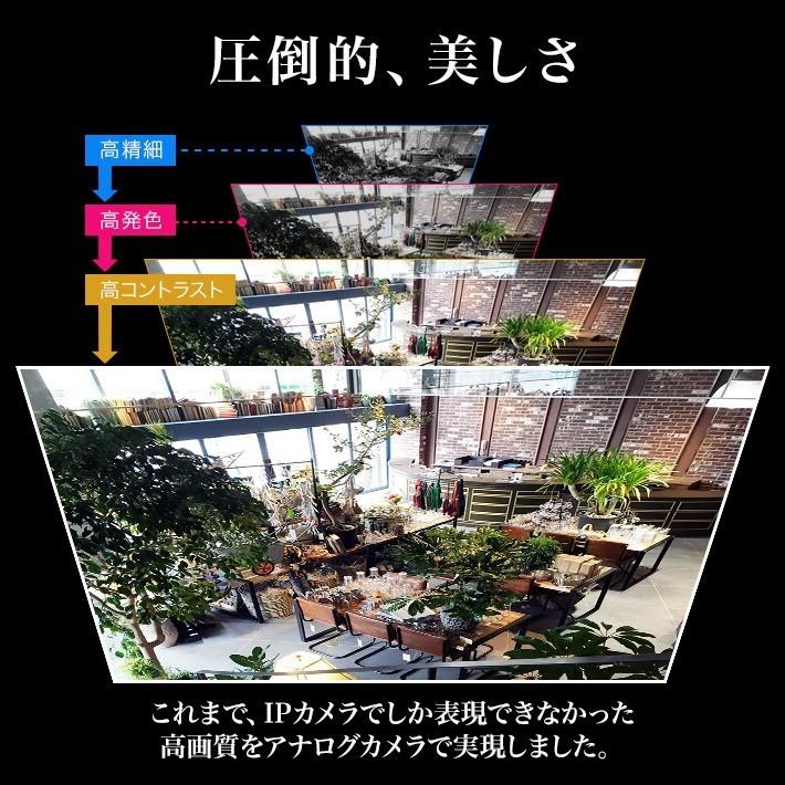 AI搭載 防犯カメラ 4K 800万画素 集音 マイク搭載 屋外用防水バレット型 屋内ドーム型 選べる2台 レコーダーセット 監視カメラ 2000GB HDD SET-880S-2の画像