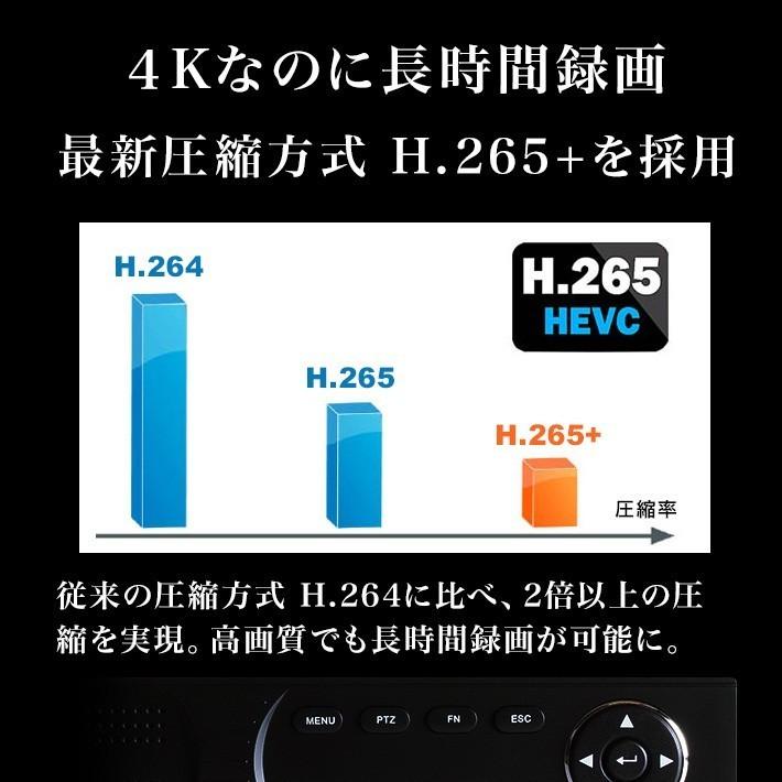 AI搭載 防犯カメラ 4K 800万画素 集音 マイク搭載 屋外用防水バレット型 屋内ドーム型 選べる2台 レコーダーセット 監視カメラ 2000GB HDD SET-880S-2の画像