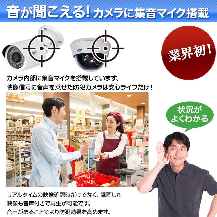 AI搭載 防犯カメラ 4K 800万画素 集音 マイク搭載 屋外用防水バレット型 屋内ドーム型 選べる2台 レコーダーセット 監視カメラ 2000GB HDD SET-880S-2の画像