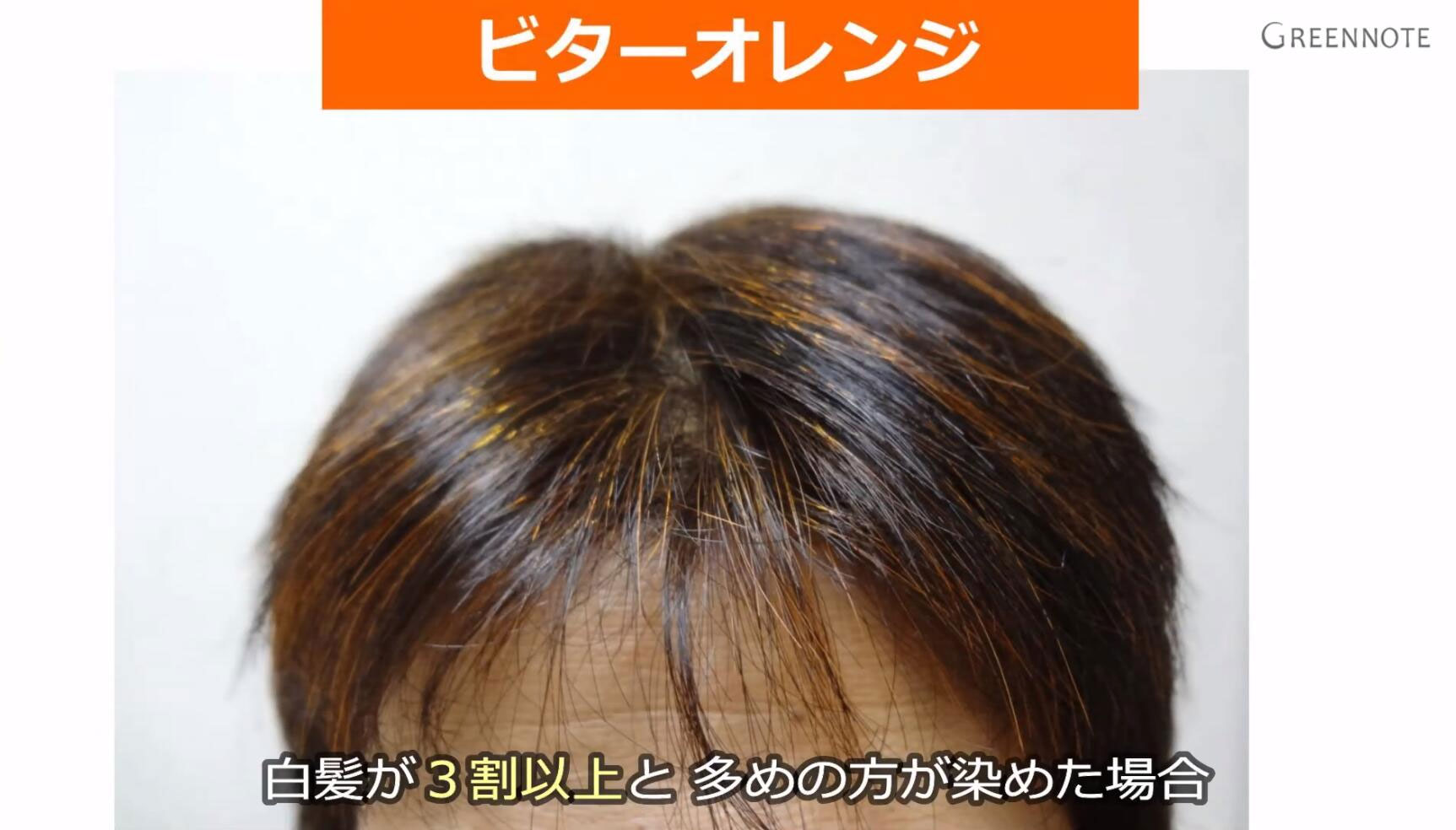 グリーンノート、ヘナ、ビターオレンジ100ｇ5袋 グリーンノートヘナ オーガニックヘナ染めオーガニータ 100g