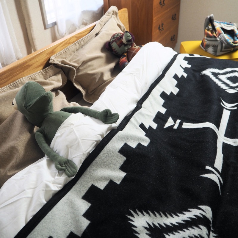 PENDLETON（ペンドルトン） 大判ブランケット LOS OJOS (162cmx203cm