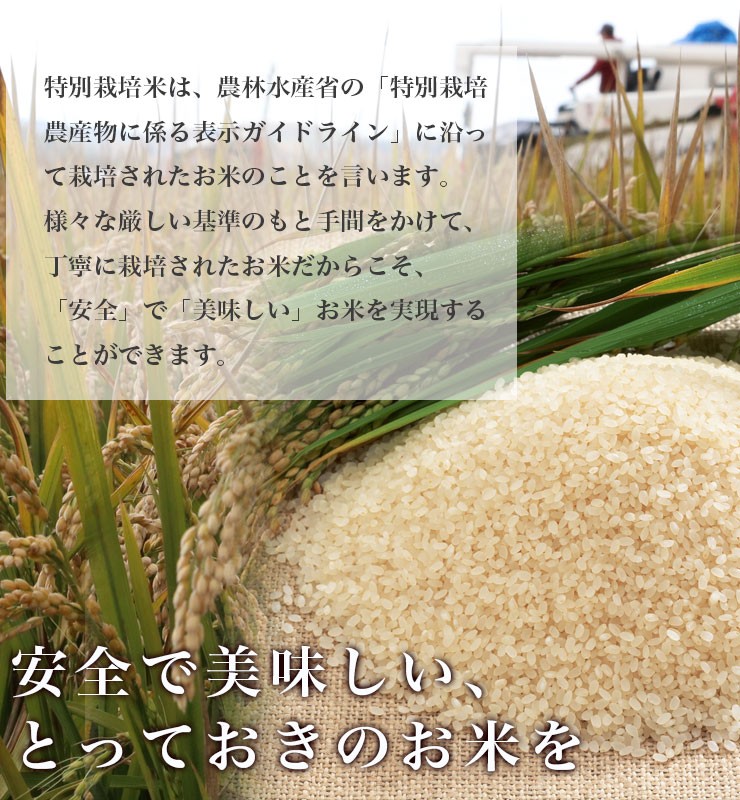 送料無料 令和7年産 新米 北海道米 安心 安全 特別栽培米 お米 当麻