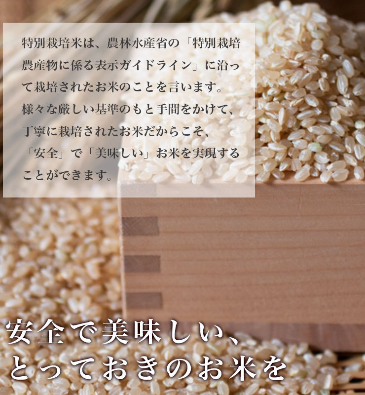 令和6年産　玄麦せときらら　same様、専用 tokusai_g_4.jpg