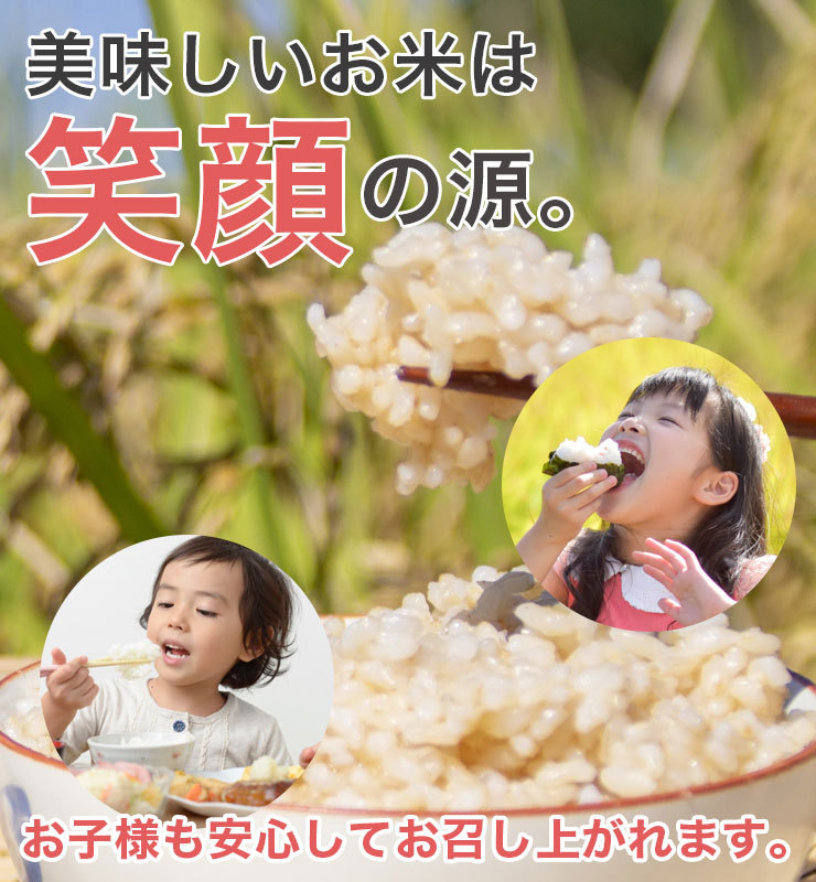 玄米 送料無料 令和6年産 新米 北海道米 安心 安全 特別栽培米