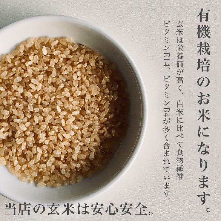 玄米 送料無料 令和5年産 有機JAS とっとき 純子 (有機栽培 ゆめ