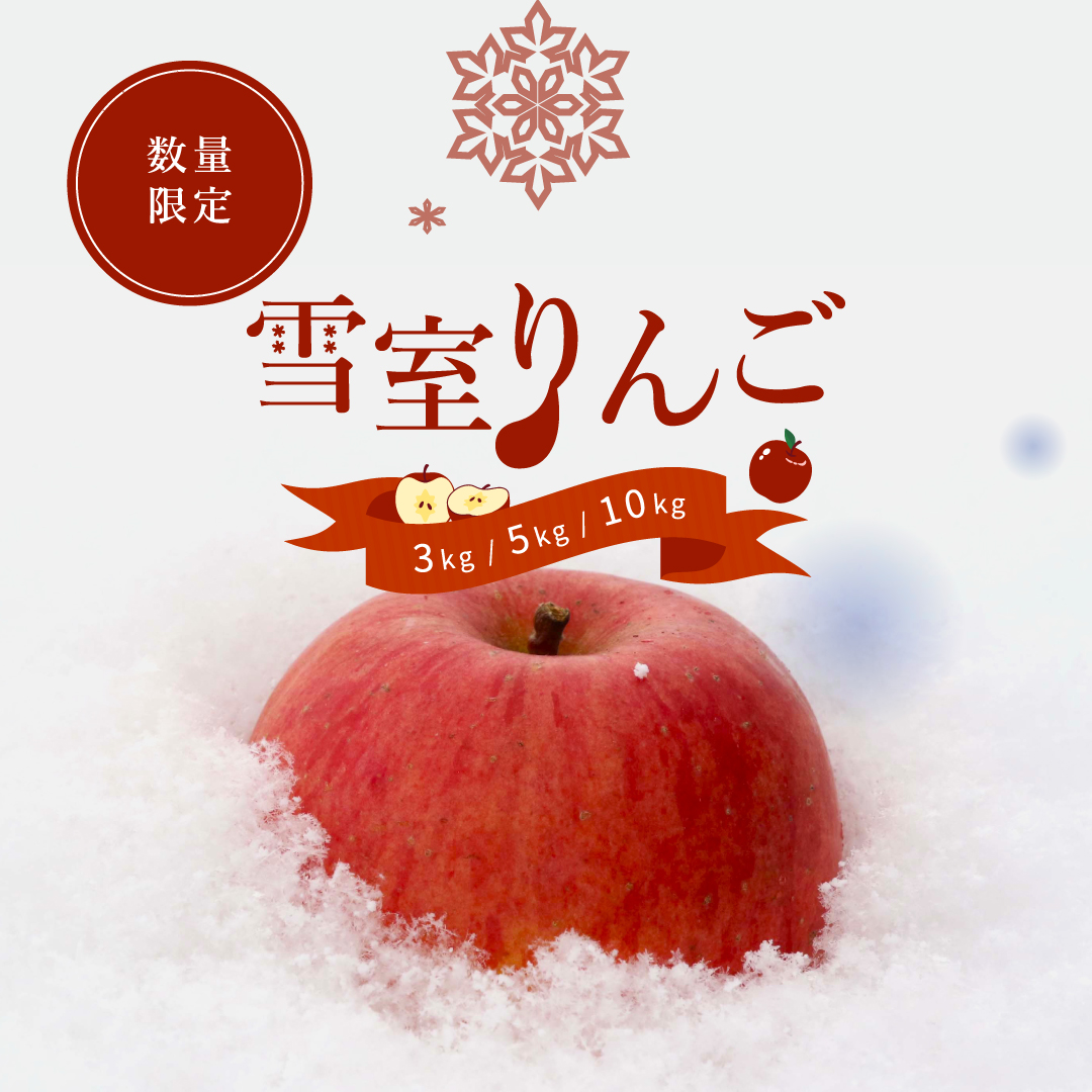 山形県産 雪室りんご サンふじ 3kg(9〜13玉)送料無料 : 東北ハッピー