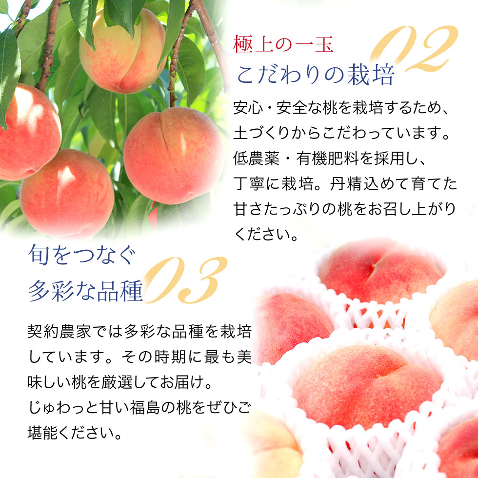 桃 福島県産 特秀品 2.7kg（6〜16玉）送料無料 ギフト 産地直送 : 東北