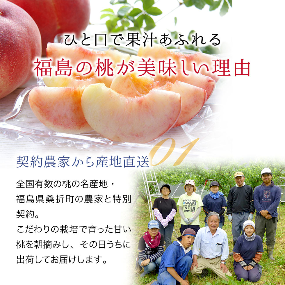 桃 福島県産 訳あり 4.7kg（15〜28玉）送料無料 家庭用 産地直送