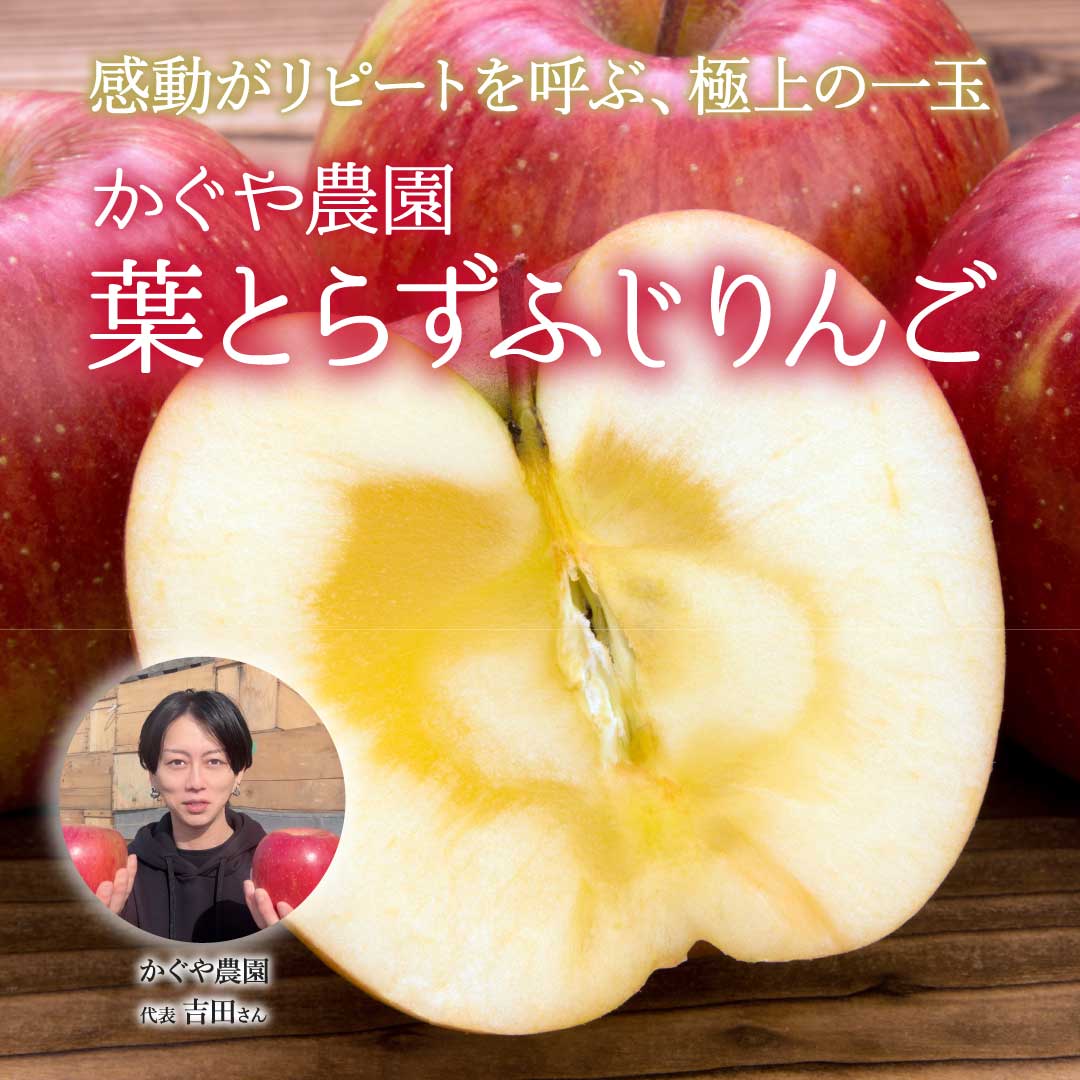 感動がリピートを呼ぶ、極上の一玉 かぐや農園葉とらずふじりんご
