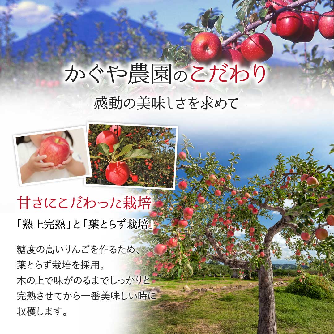 かぐや農園のこだわり 甘さにこだわった栽培