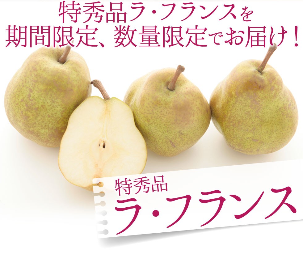 特秀品ラ・フランスを期間限定、数量限定でお届け！