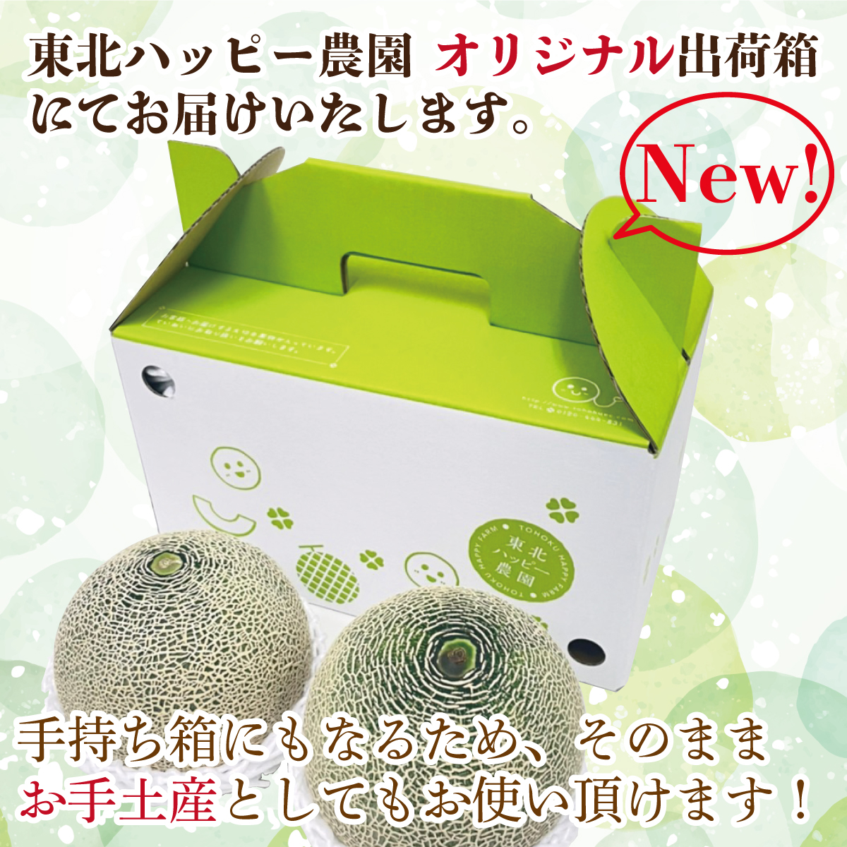 メロン 茨城県産 青肉 秀品 約2kg（1.5〜2kg）2玉 送料無料 ギフト