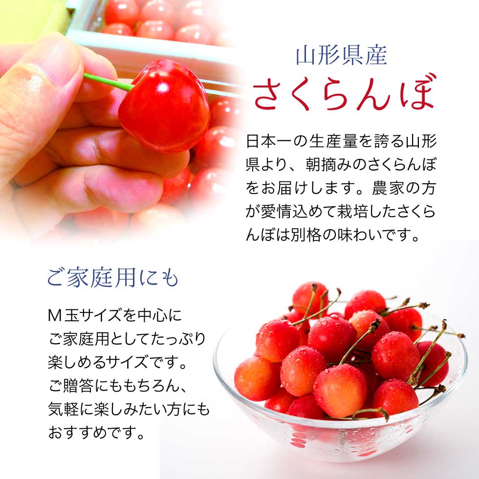 さくらんぼ 山形県産 1kg バラ詰め 優品 家庭用 自宅用 送料無料 M玉