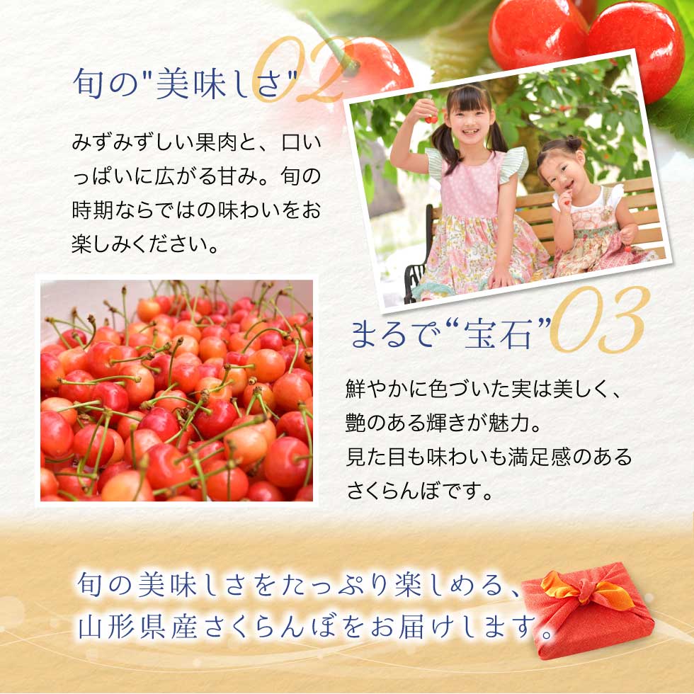 さくらんぼ 山形県産 1kg バラ詰め 優品 家庭用 自宅用 送料無料 M玉