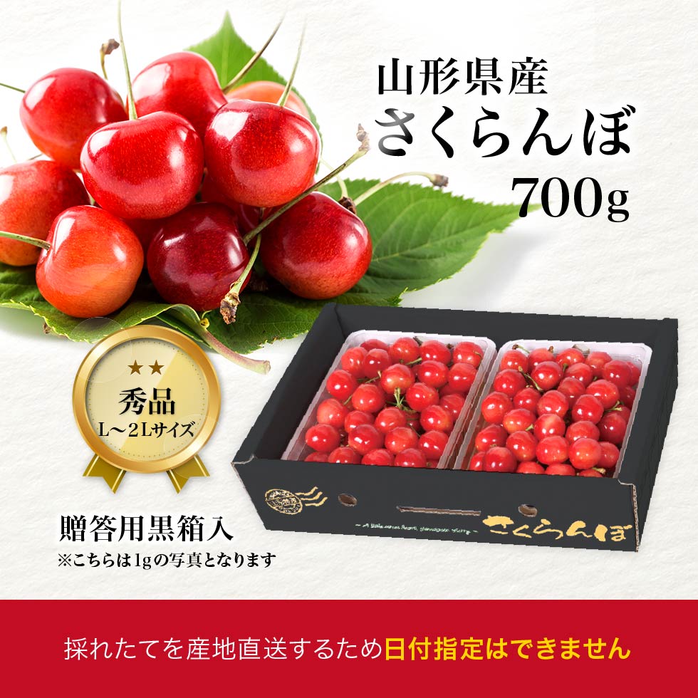 さくらんぼ 山形県産 秀品 700g L玉以上 ギフト 贈答用 送料無料