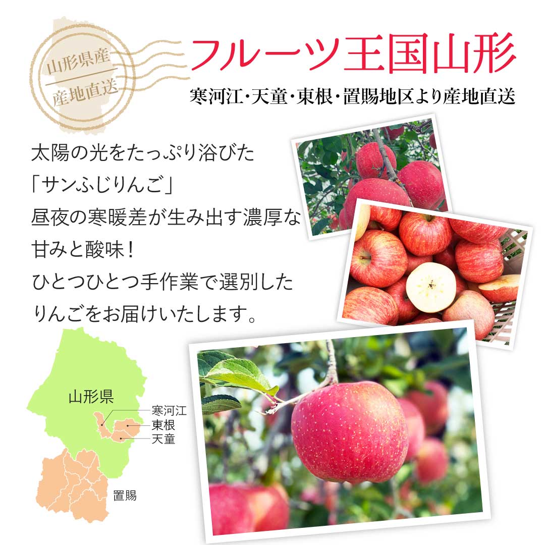 山形県産 訳あり サンふじりんご 5kg(13〜23玉) 送料無料 ご家庭