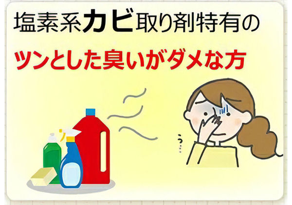 株式会社UYEKI（ウエキ） カビトルデスPRO グリーンジェル