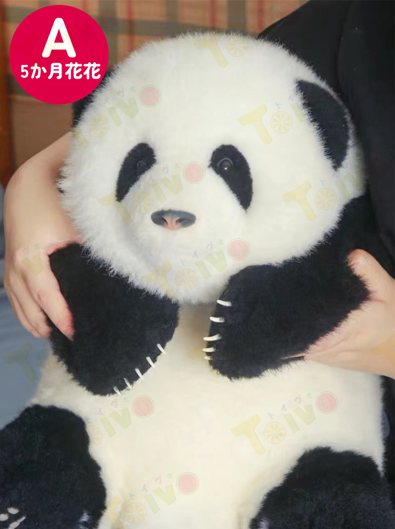 パンダぬいぐるみ 花花 萌蘭 年齢5か月 可愛いパンダ 抱き枕 部屋飾り 