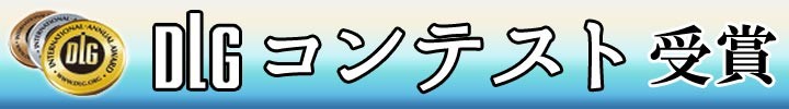 DLGコンテスト2017　受賞