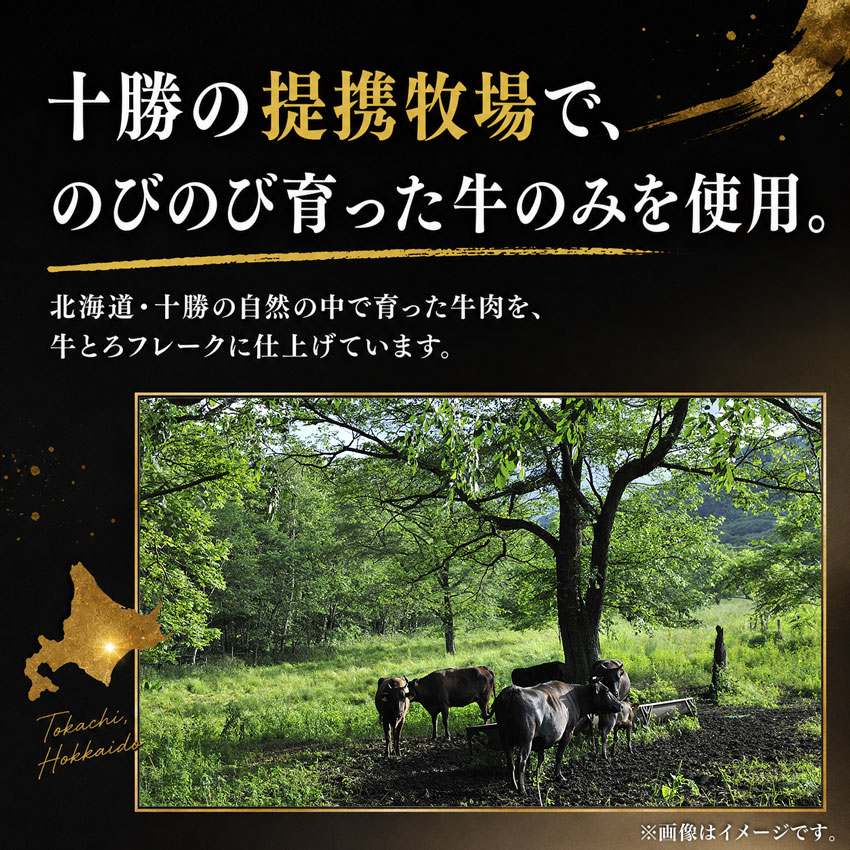牛とろフレーク,牛とろファイブ,持ち運び,十勝スロウフード