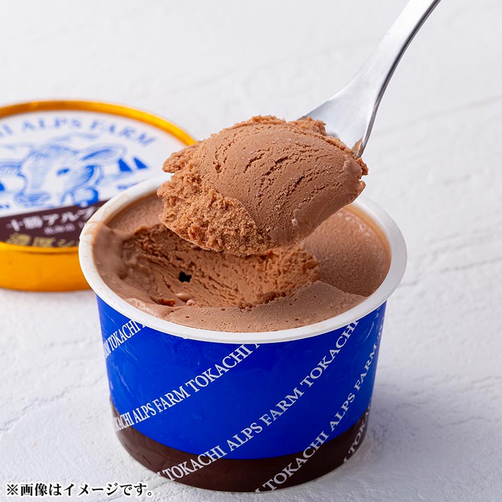 アイスクリーム【十勝アルプス牧場】濃厚ショコラアイス 100ml/1