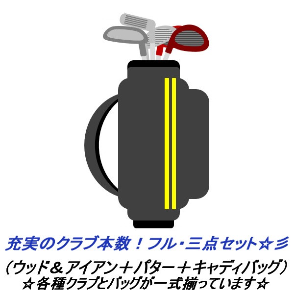 安定した定番商品 メンズゴルフクラブセット アキュディス AD-501TG