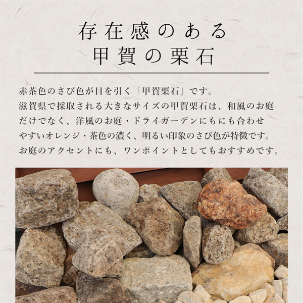 甲賀栗石 50-200mm 180kg (18kg×10箱) / 庭 石 おしゃれ 庭石 大きい 