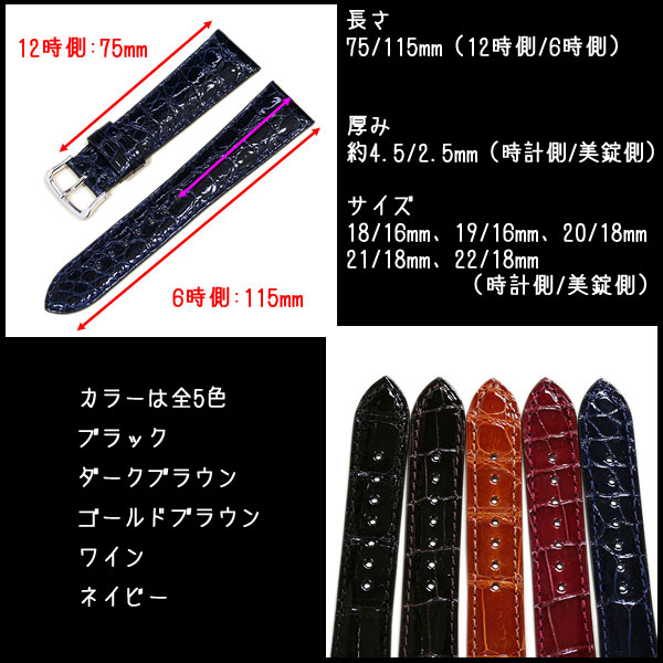ジャパンメイド クロコダイル 丸斑 玉斑 ツヤあり 時計ベルト 日本製