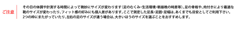 サイズ表