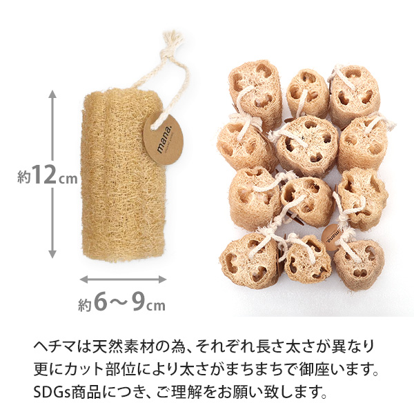 サイズ説明