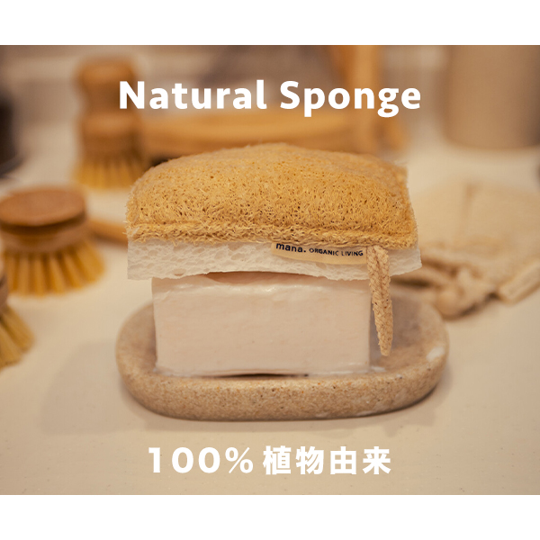 キッチンスポンジ 3個セット 自然素材 100%植物由来 食物繊維 (210-40
