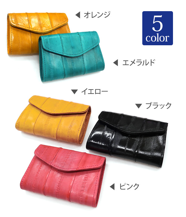 ５カラーのラインナップ