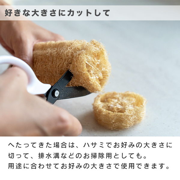 好きな大きさにカットして