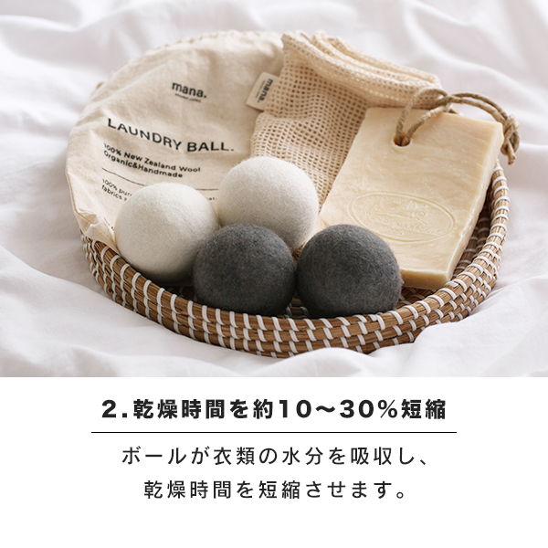 ドライボール 乾燥機用 6個セット（210-56）バッグ付き 乾燥 時短