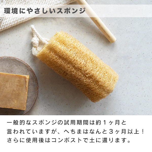 環境にやさしいスポンジ