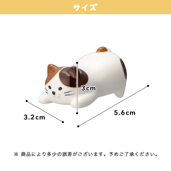 サイズ