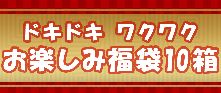 お楽しみ福袋10箱