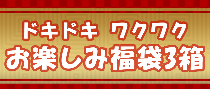 お楽しみ福袋3箱