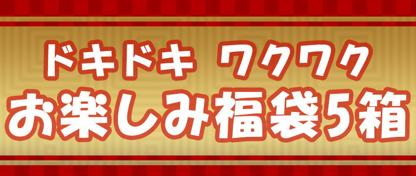 お楽しみ福袋5箱