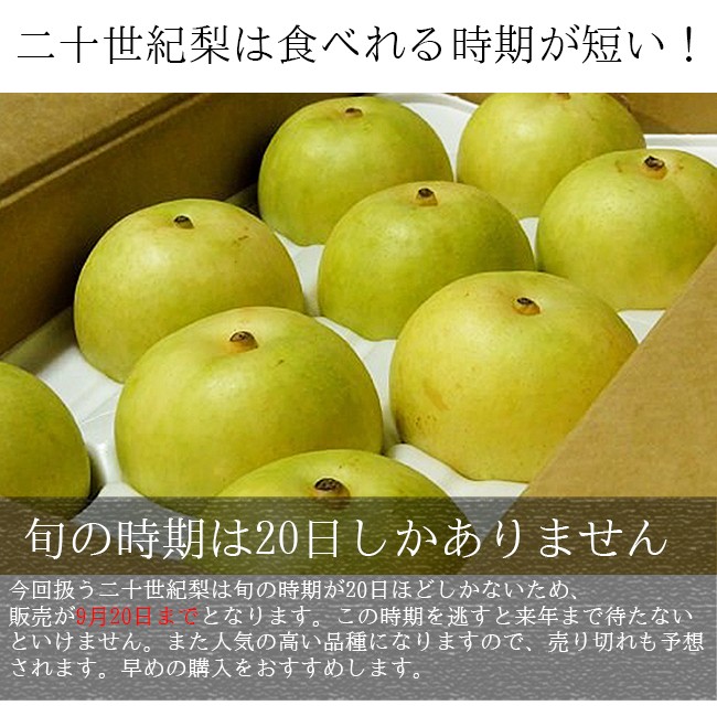 福島県産 豊水梨 梨 20玉入り 家庭用 エリア限定品 食べきりに丁度良いサイズ