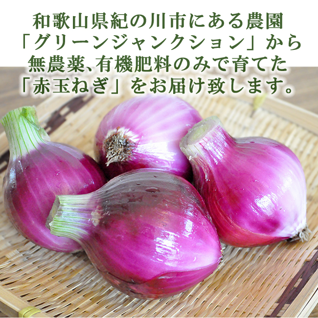赤玉ねぎ 2kg 無農薬 送料無料 和歌山 グリーンジャンクション : 農家
