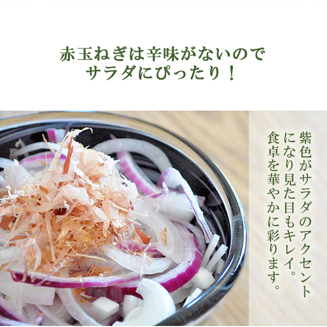 赤玉ねぎ 20kg 無農薬 送料無料 和歌山 グリーンジャンクション : 農家