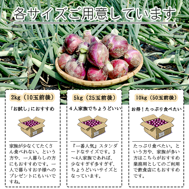 赤玉ねぎ 20kg 無農薬 送料無料 和歌山 グリーンジャンクション : 農家