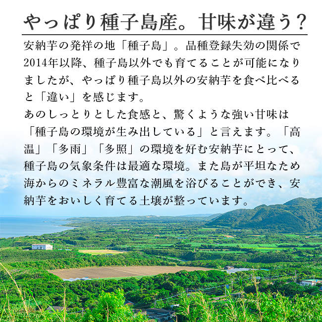 安納芋 5kg 種子島 2S〜L 安納こがね 無農薬 幻の芋 安納黄金 送料無料